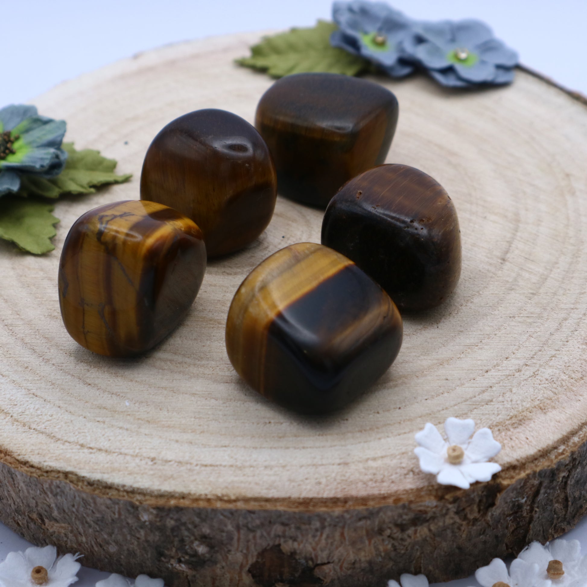 Five pieces of Tiger Eye crystals