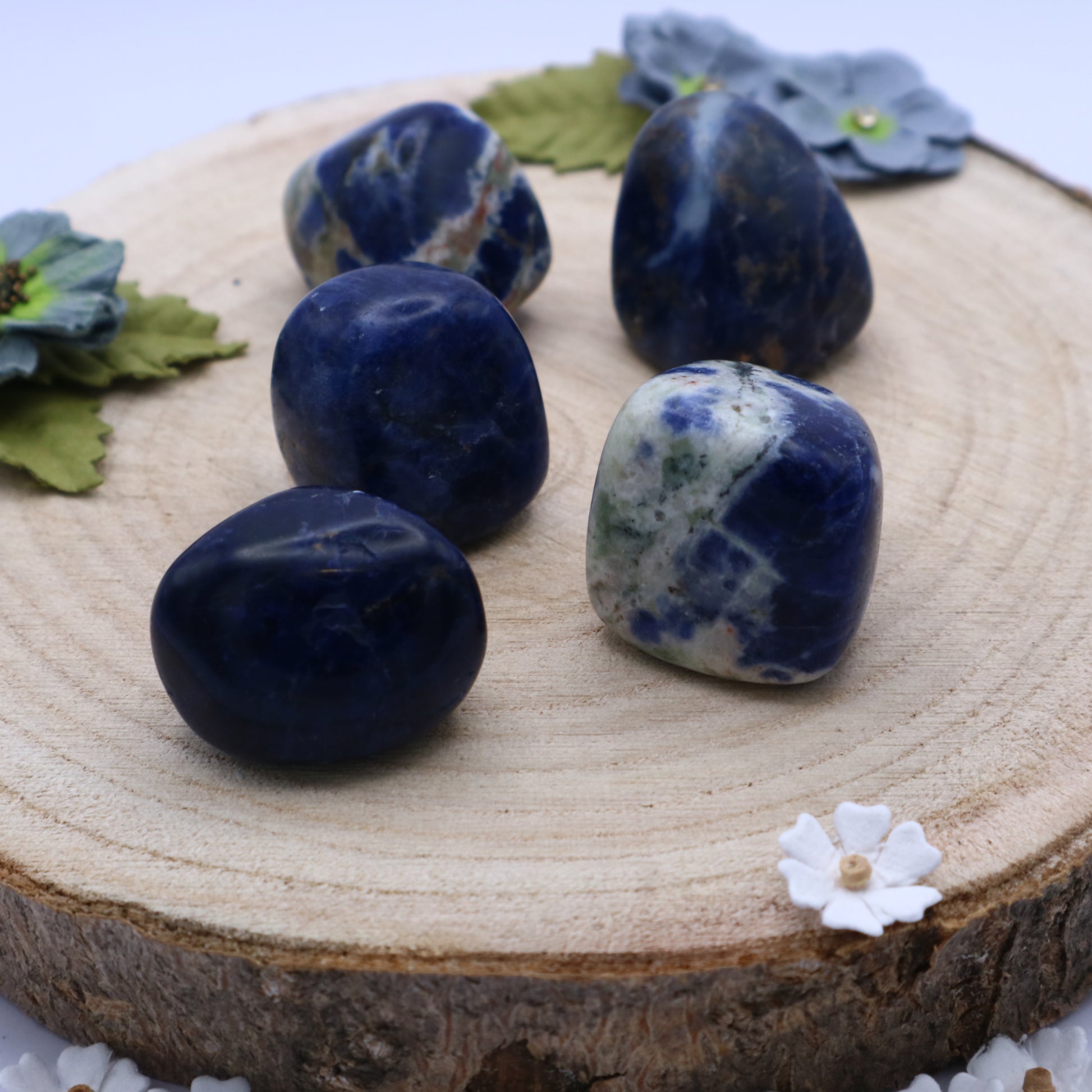 Five pieces of Sodalite crystals