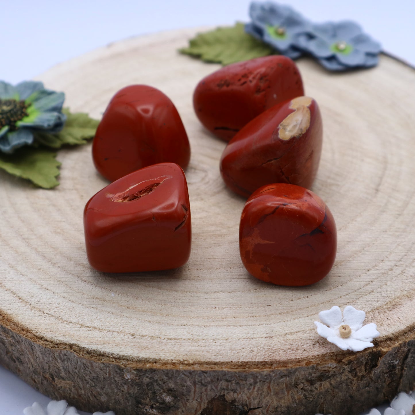 Five pieces of Red Jasper crystals