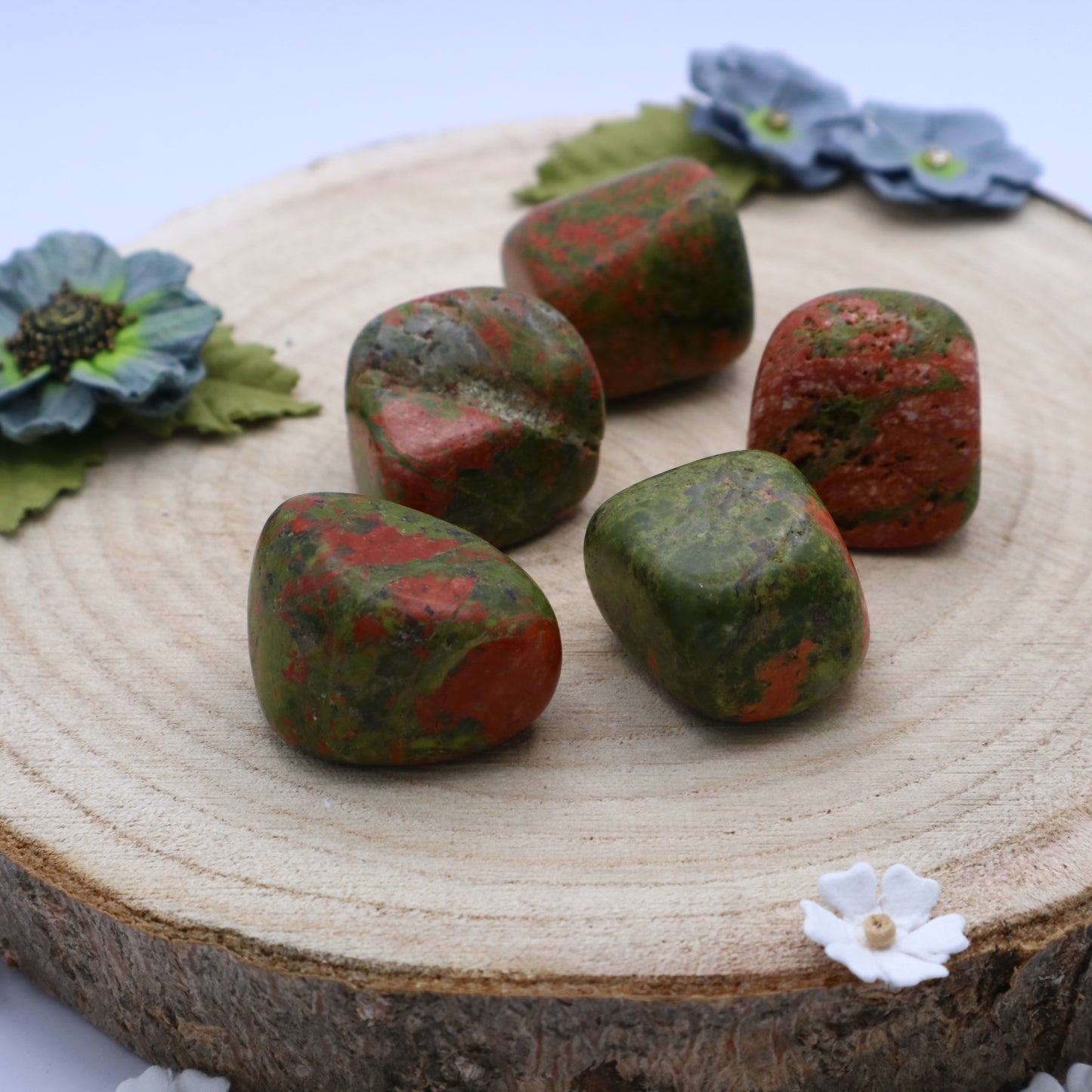 Five pieces of Unakite crystals