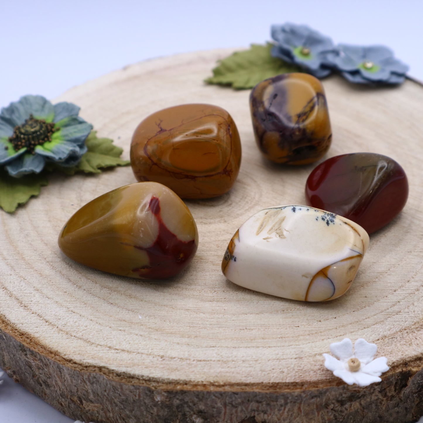 Five pieces of Mookaite crystals
