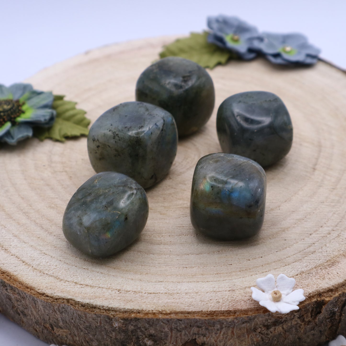 Five pieces of Labradorite crystals
