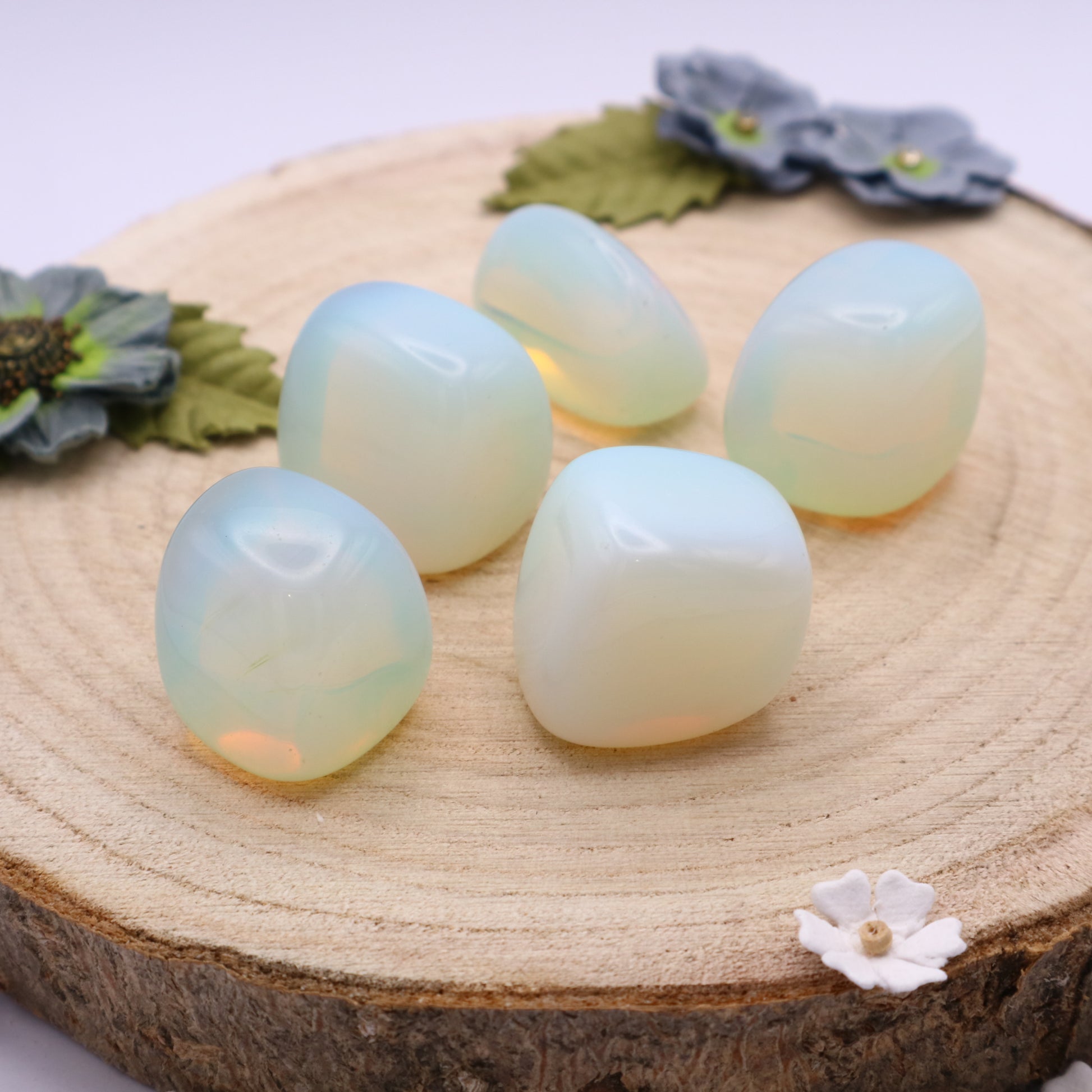 Five pieces of Opalite crystals