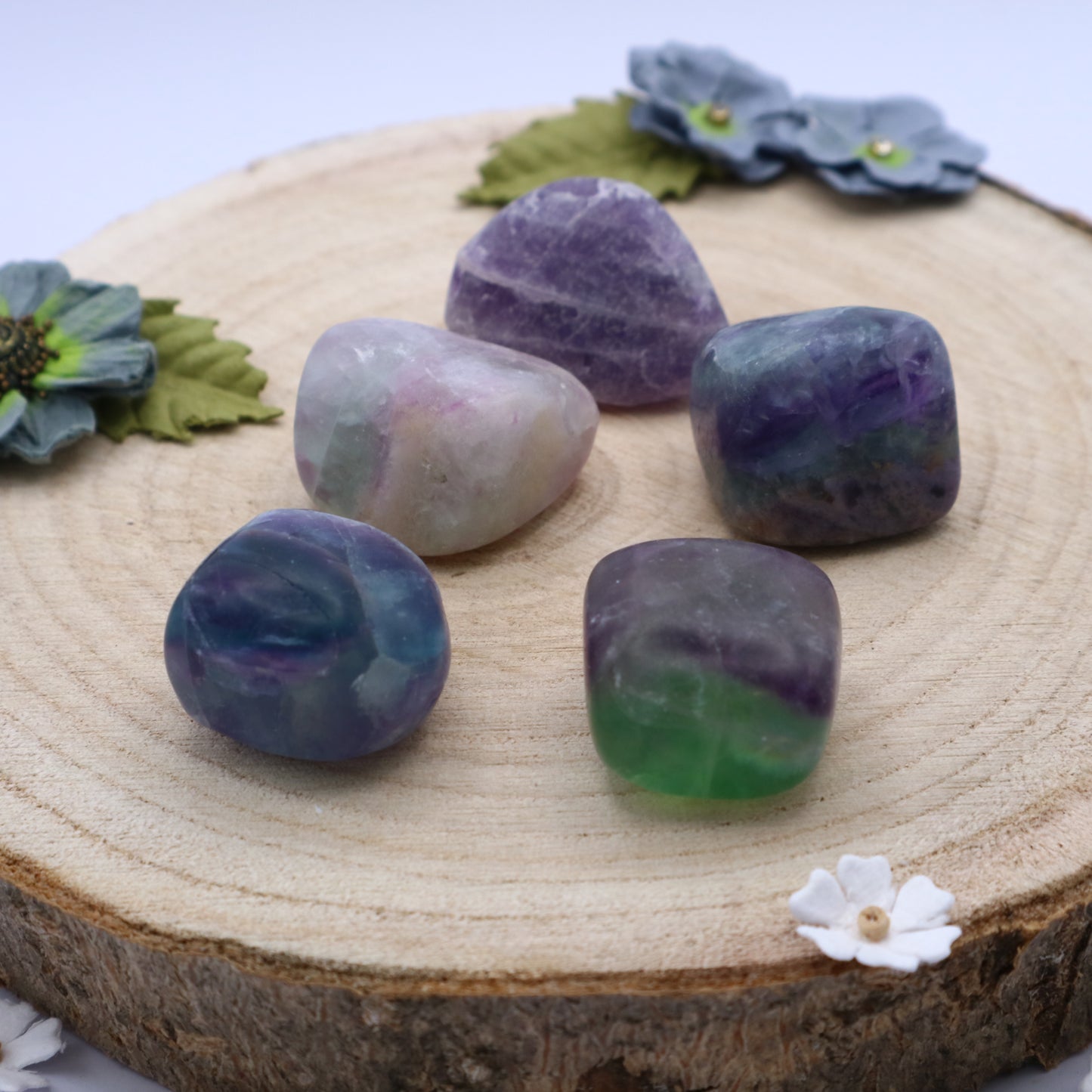 Five pieces of Fluorite crystals