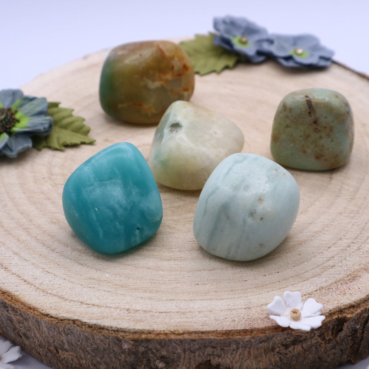 Five pieces of Amazonite crystals