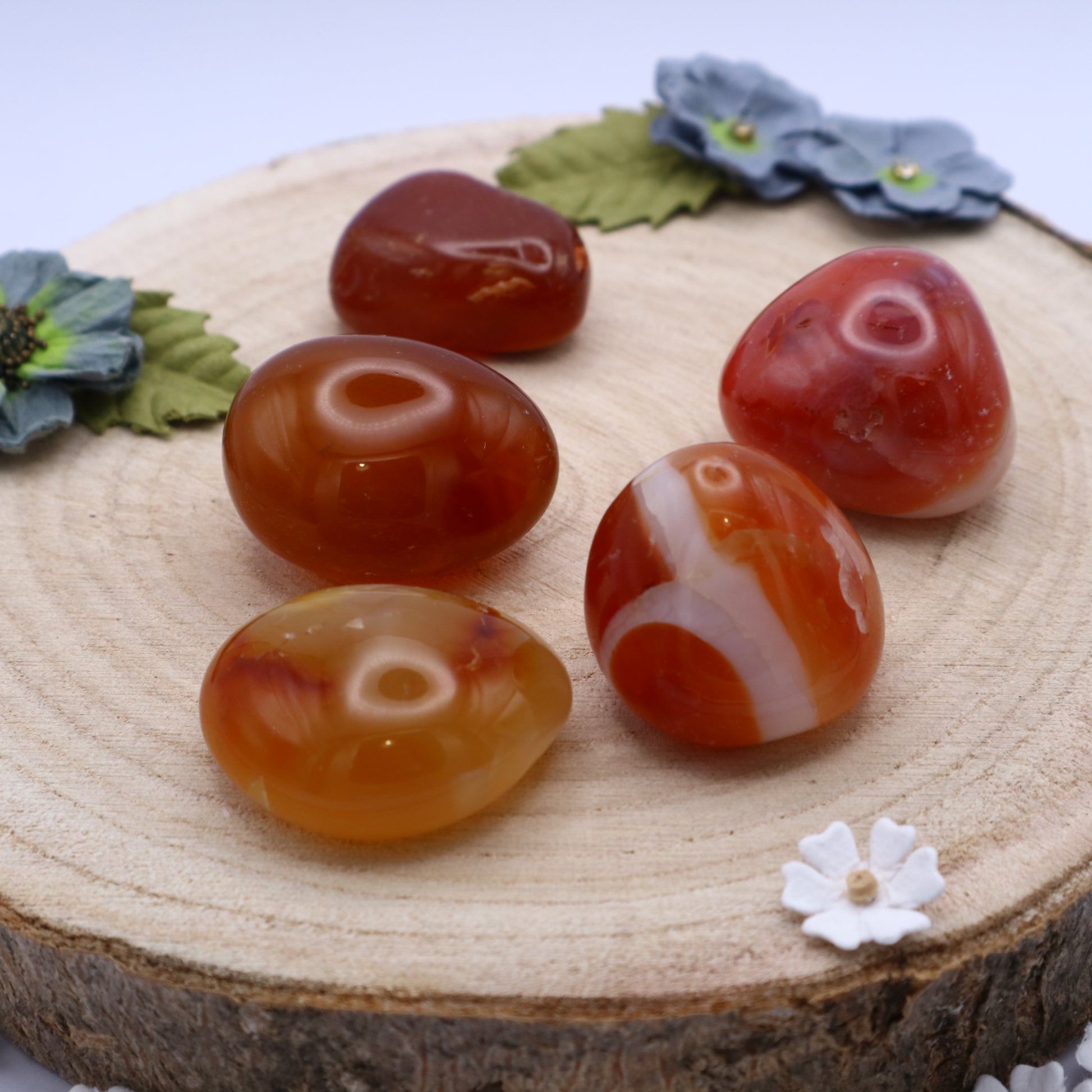 Five pieces of Carnelian crystals