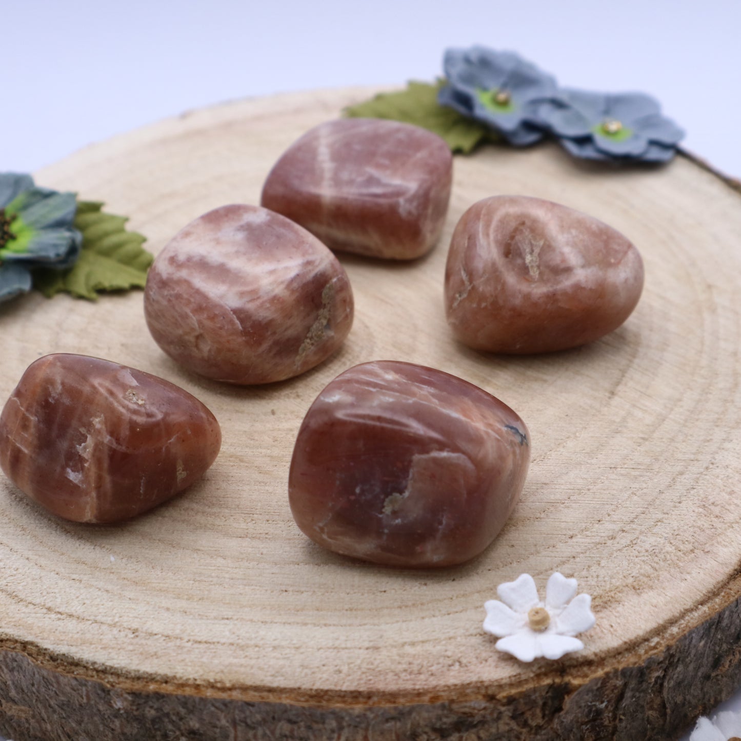 Five pieces of Moonstone crystals