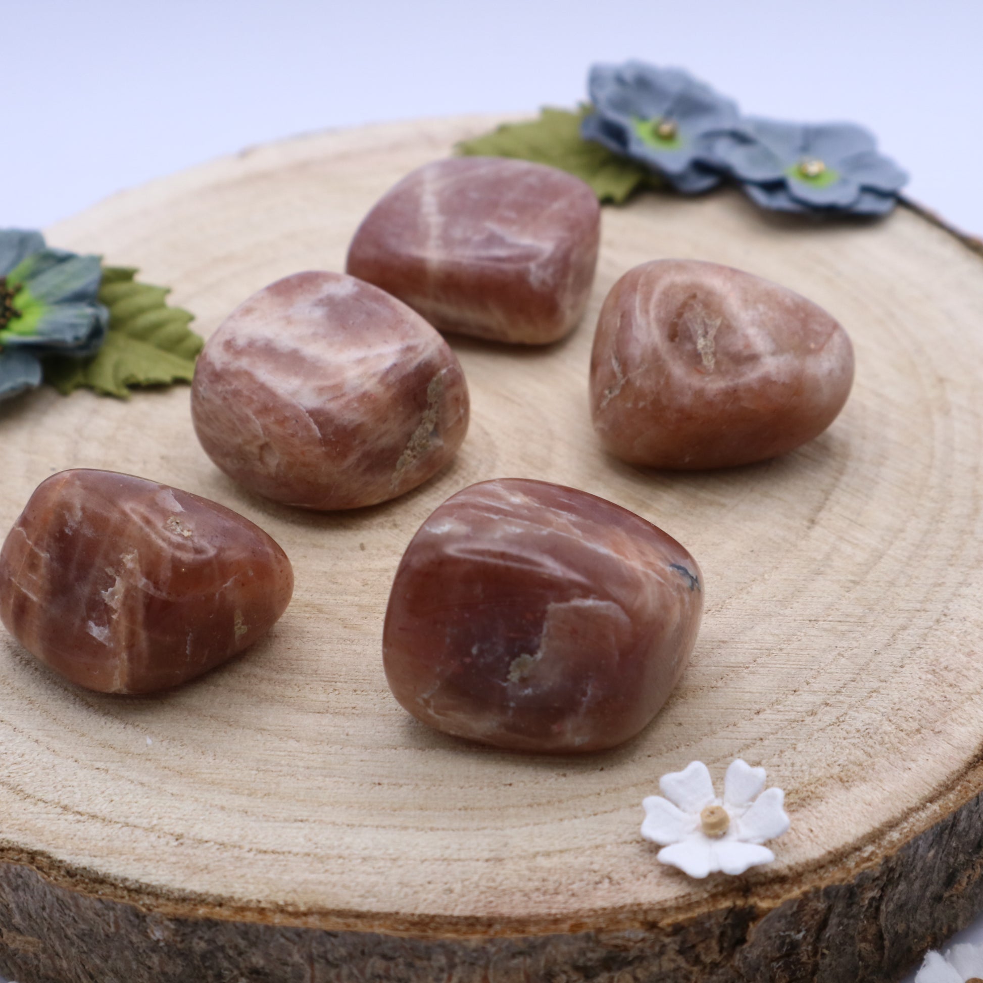 Five pieces of Moonstone crystals