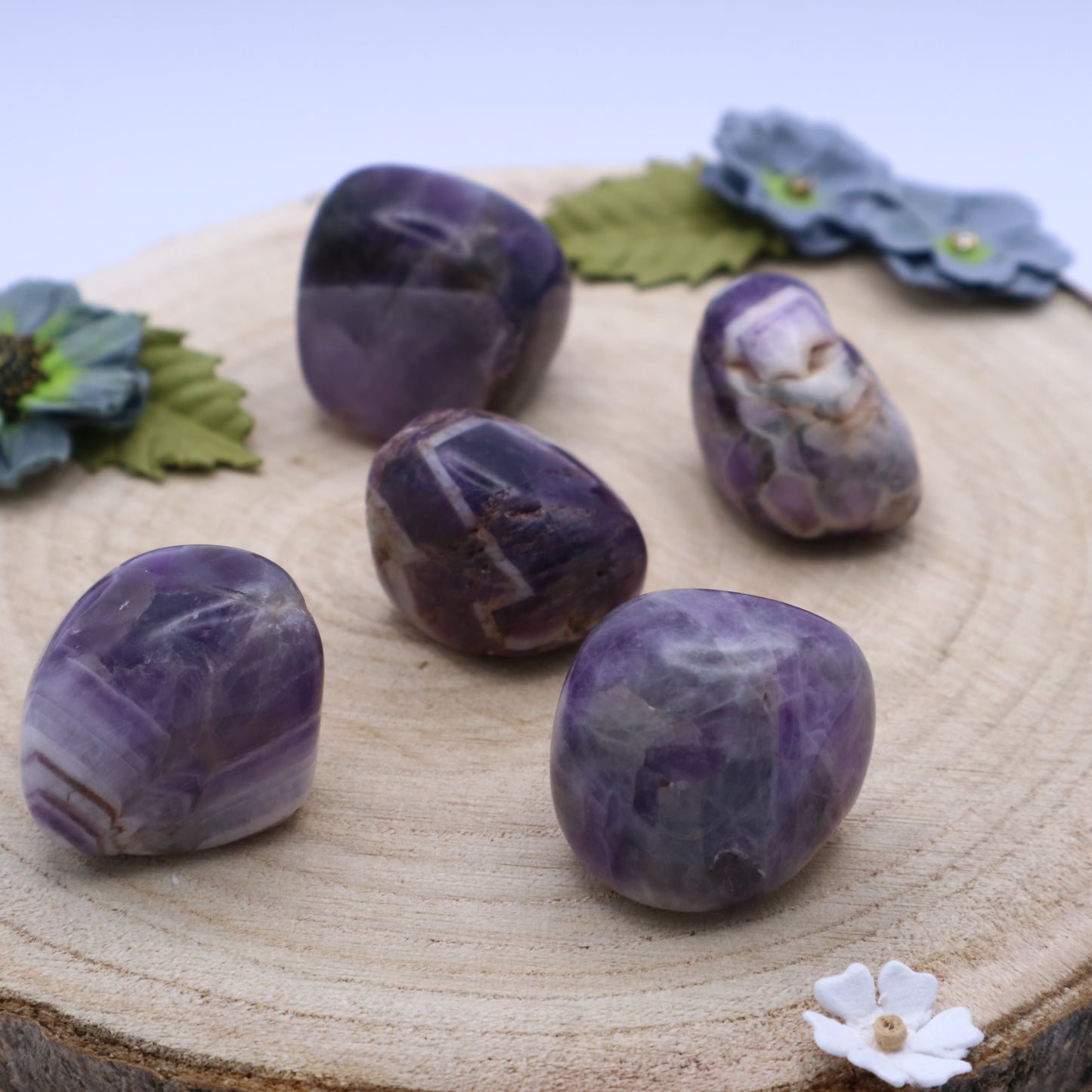 Five pieces of Amethyst crystals