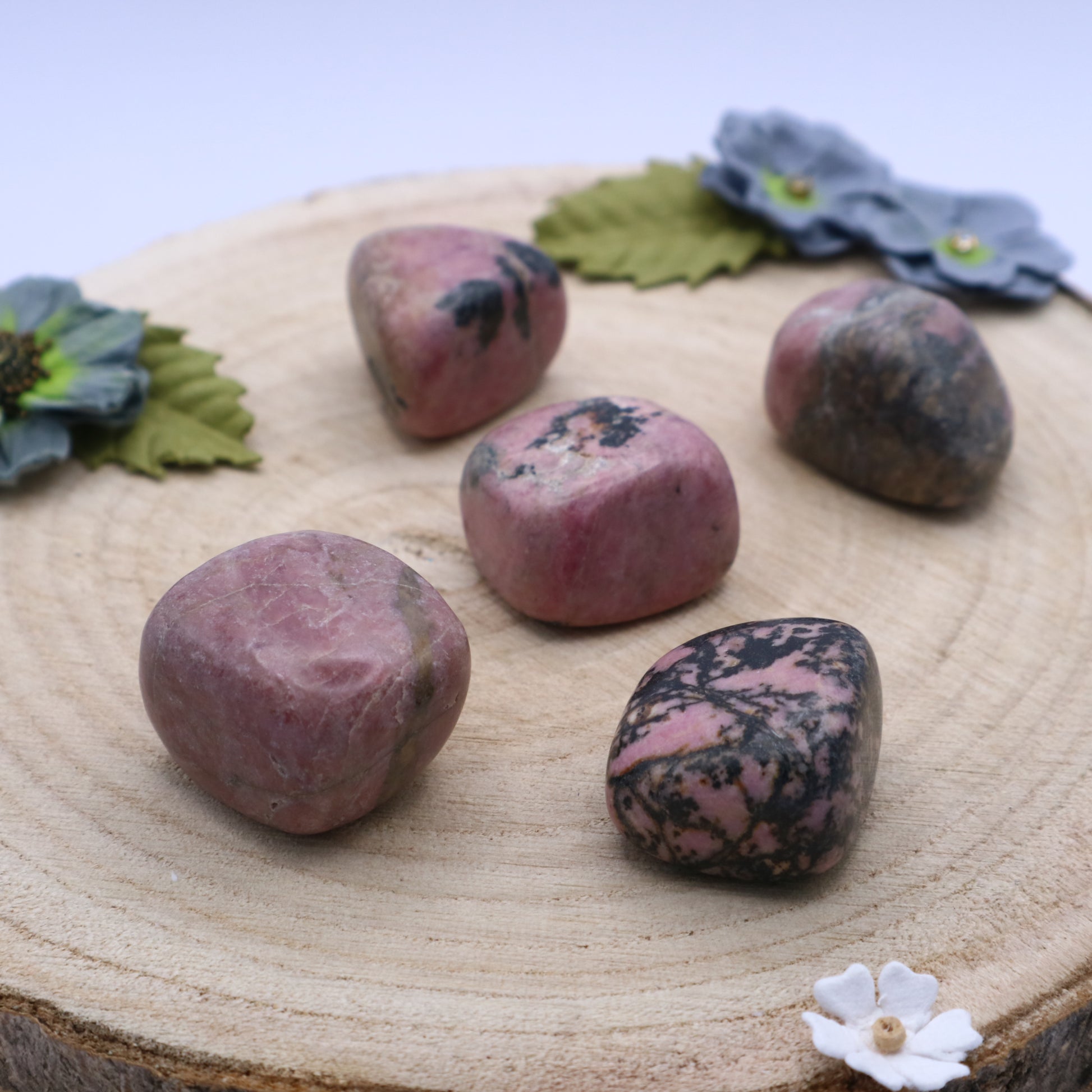 Five pieces of Rhodonite crystals