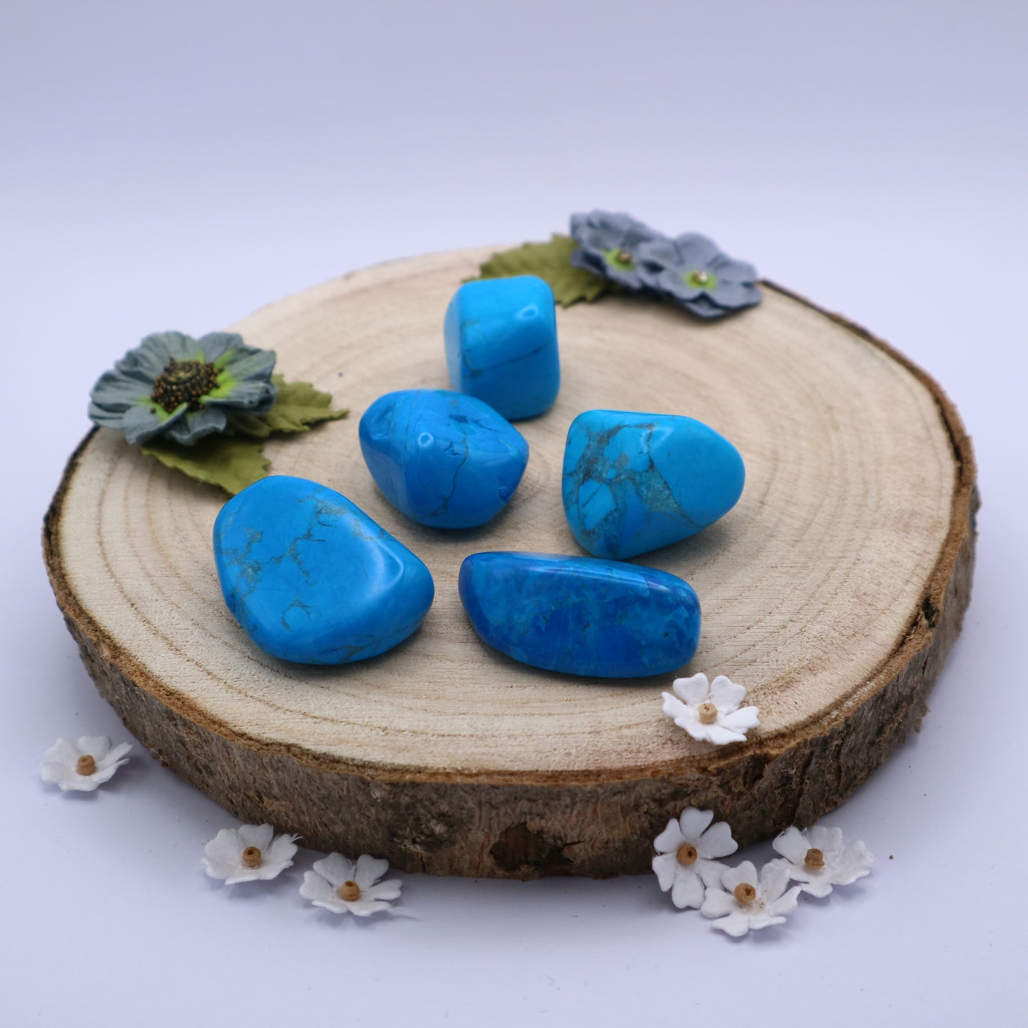 Five pieces of Turquoise Howlite crystals displayed on a piece of wood surrounded by flowers