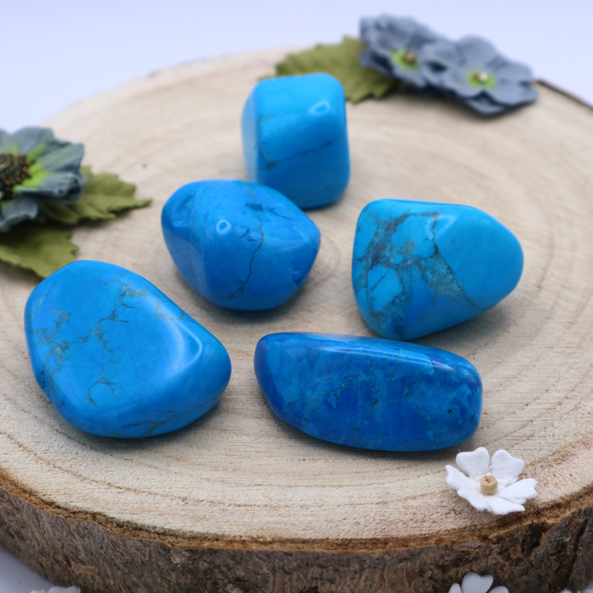 Five pieces of Turquoise Howlite crystals