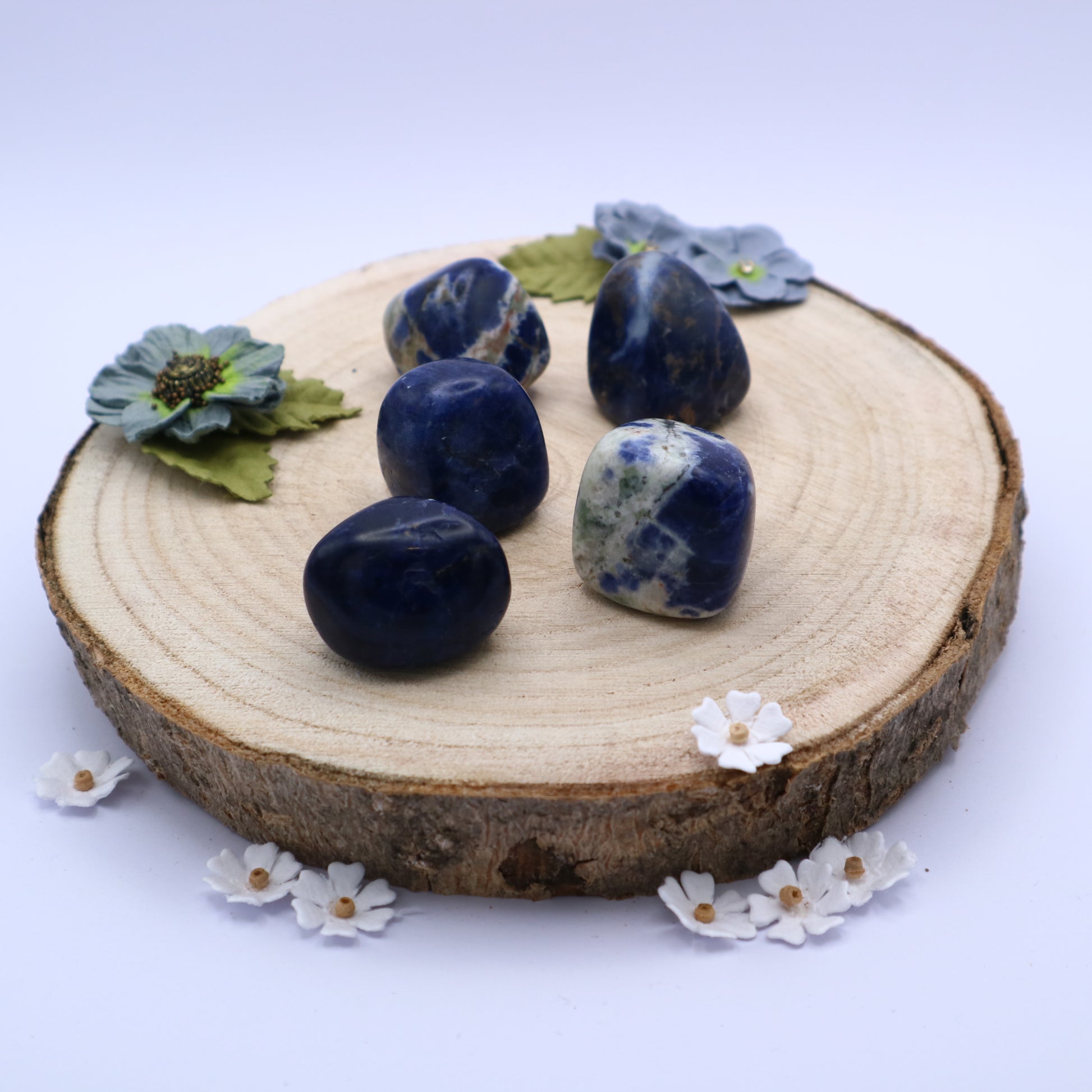 Five pieces of Sodalite crystals displayed on a piece of wood surrounded by flowers