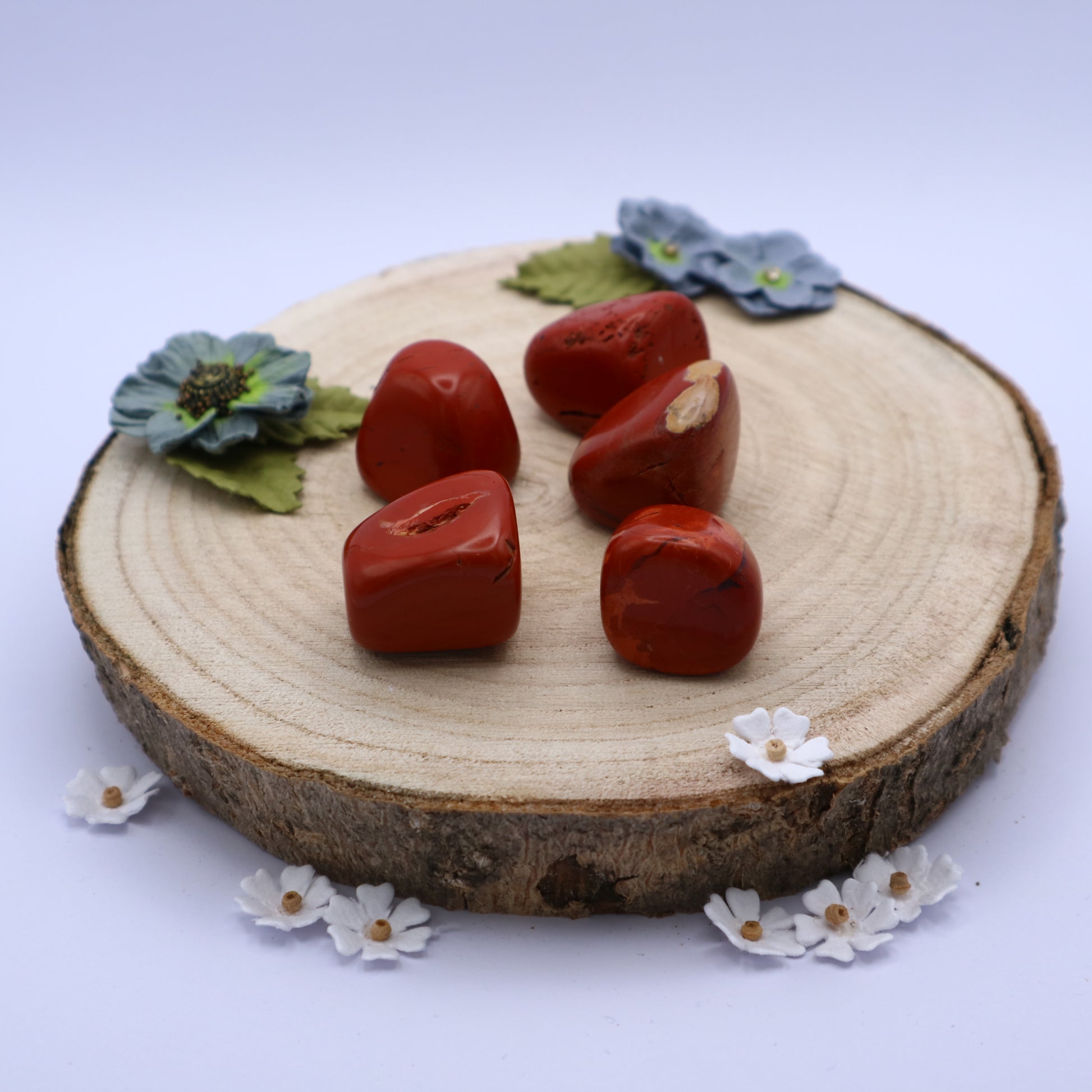 Five pieces of Red Jasper crystals displayed on a piece of wood surrounded by flowers