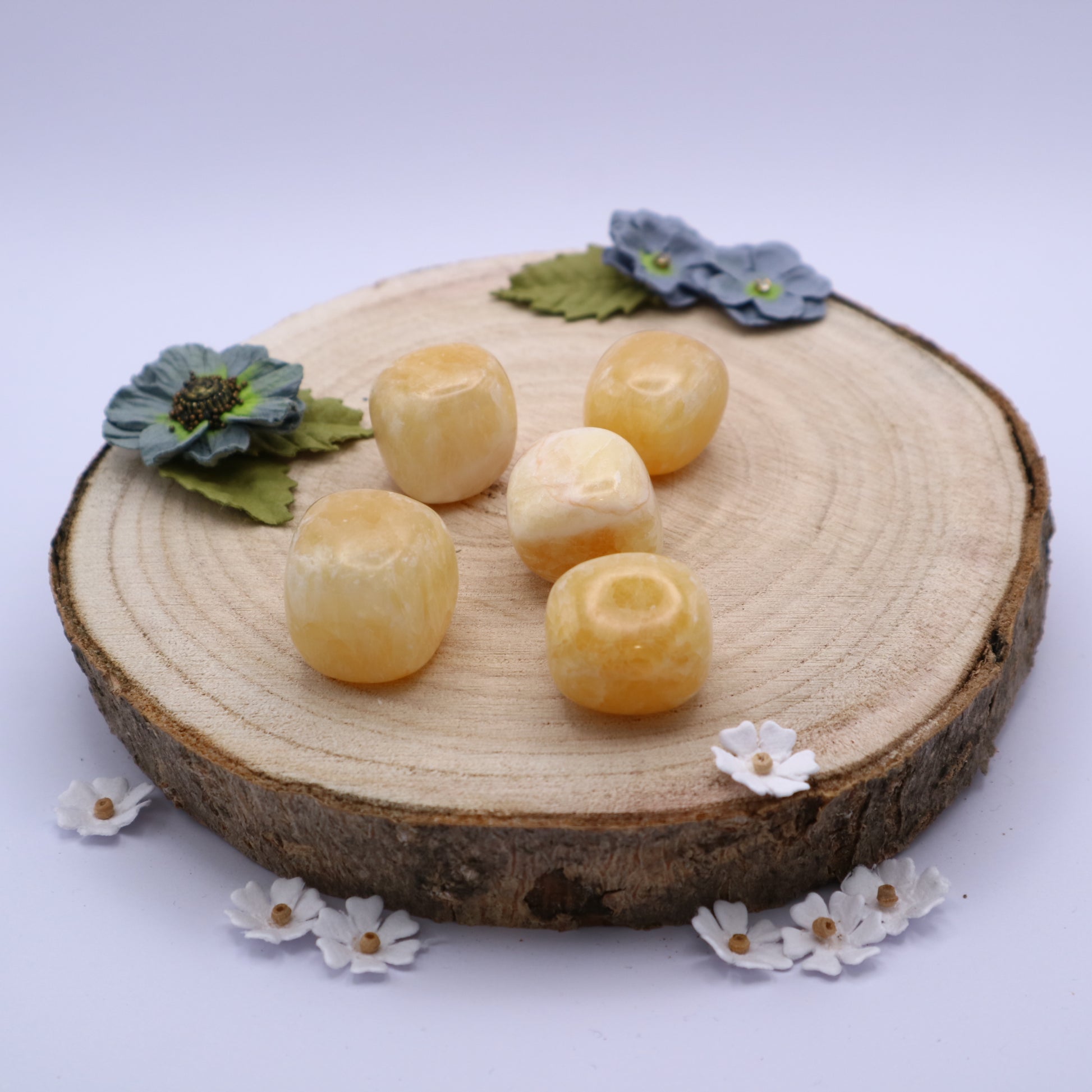 Five pieces of Orange Calcite crystals displayed on a piece of wood surrounded by flowers