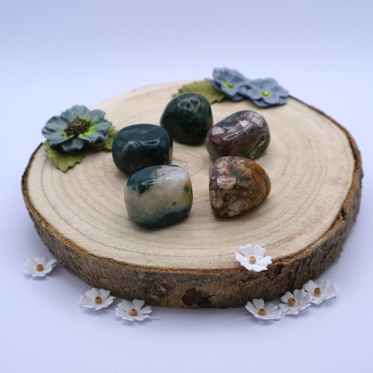 Five pieces of Ocean Jasper crystals displayed on a piece of wood surrounded by flowers