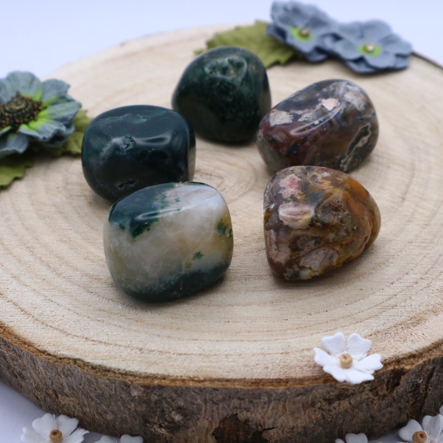 Five pieces of Ocean Jasper crystals