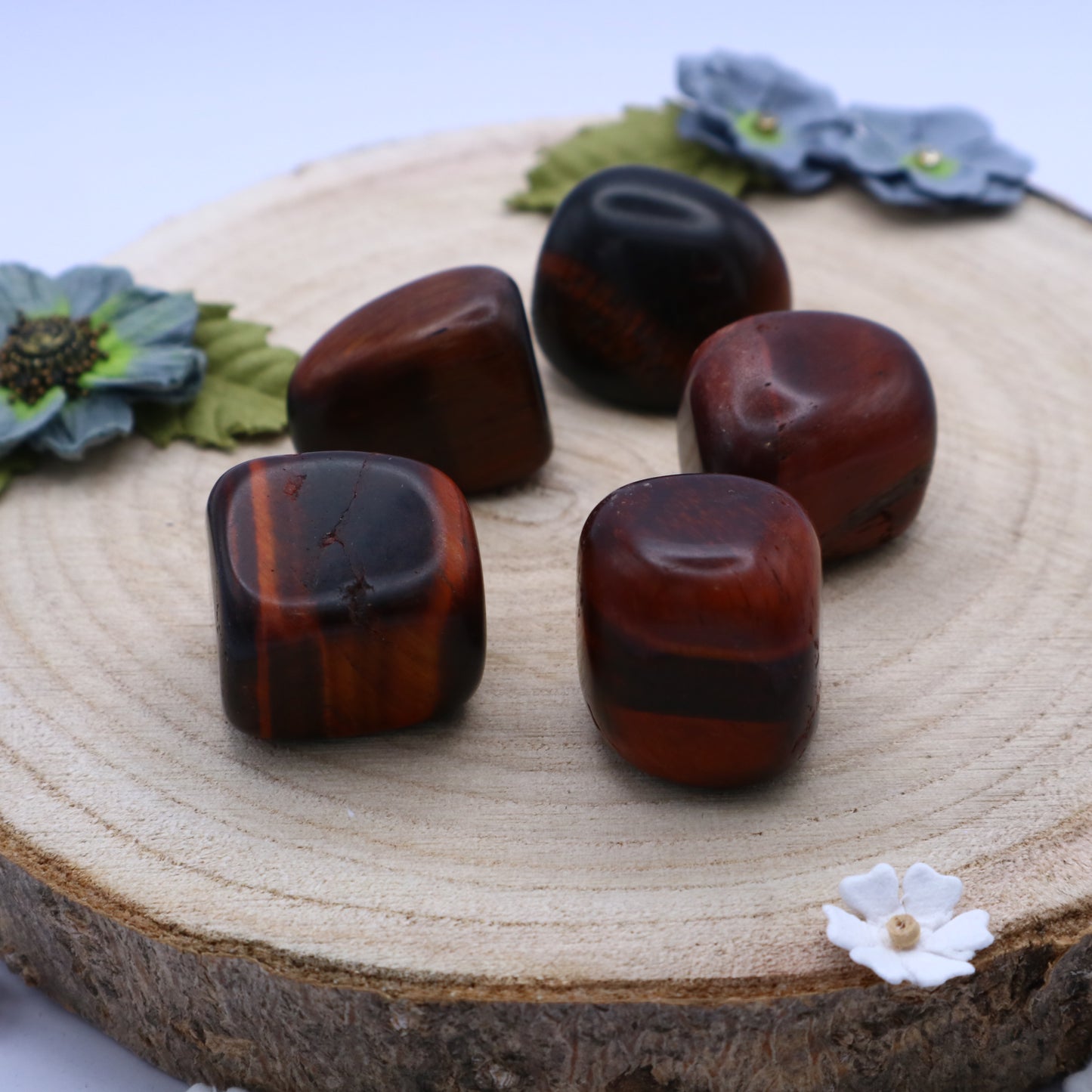 Five pieces of Red Tiger Eye crystals