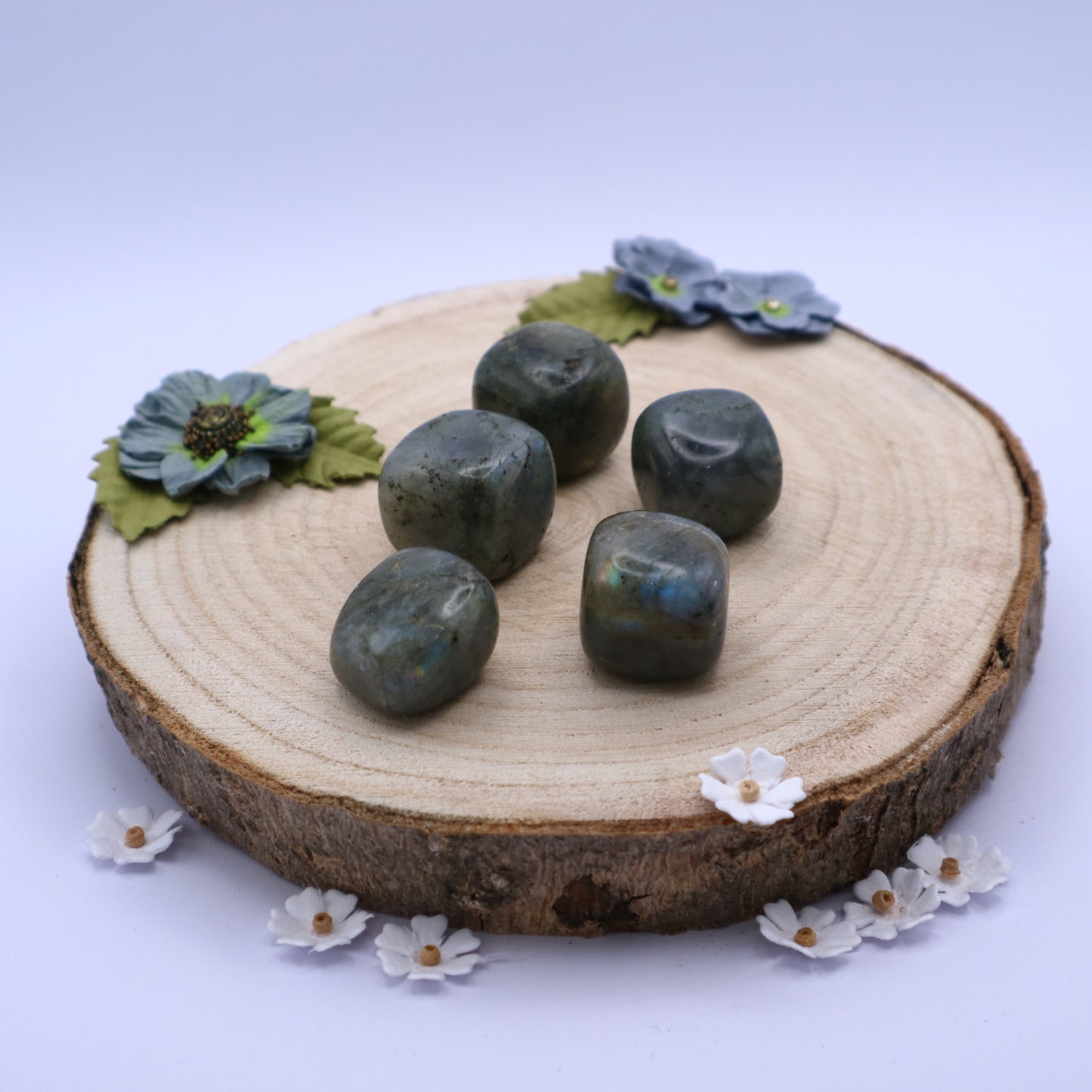 Five pieces of Labradorite crystals displayed on a piece of wood surrounded by flowers