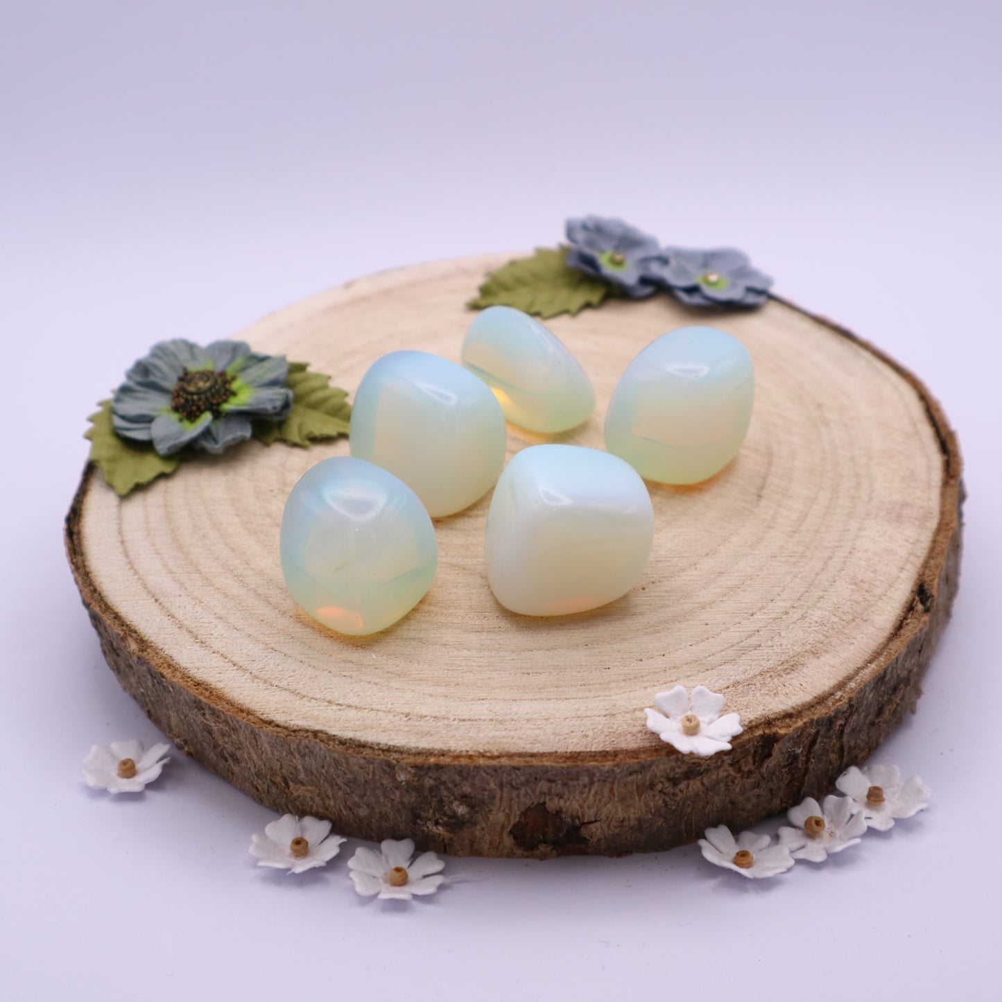 Five pieces of Opalite crystals displayed on a piece of wood surrounded by flowers
