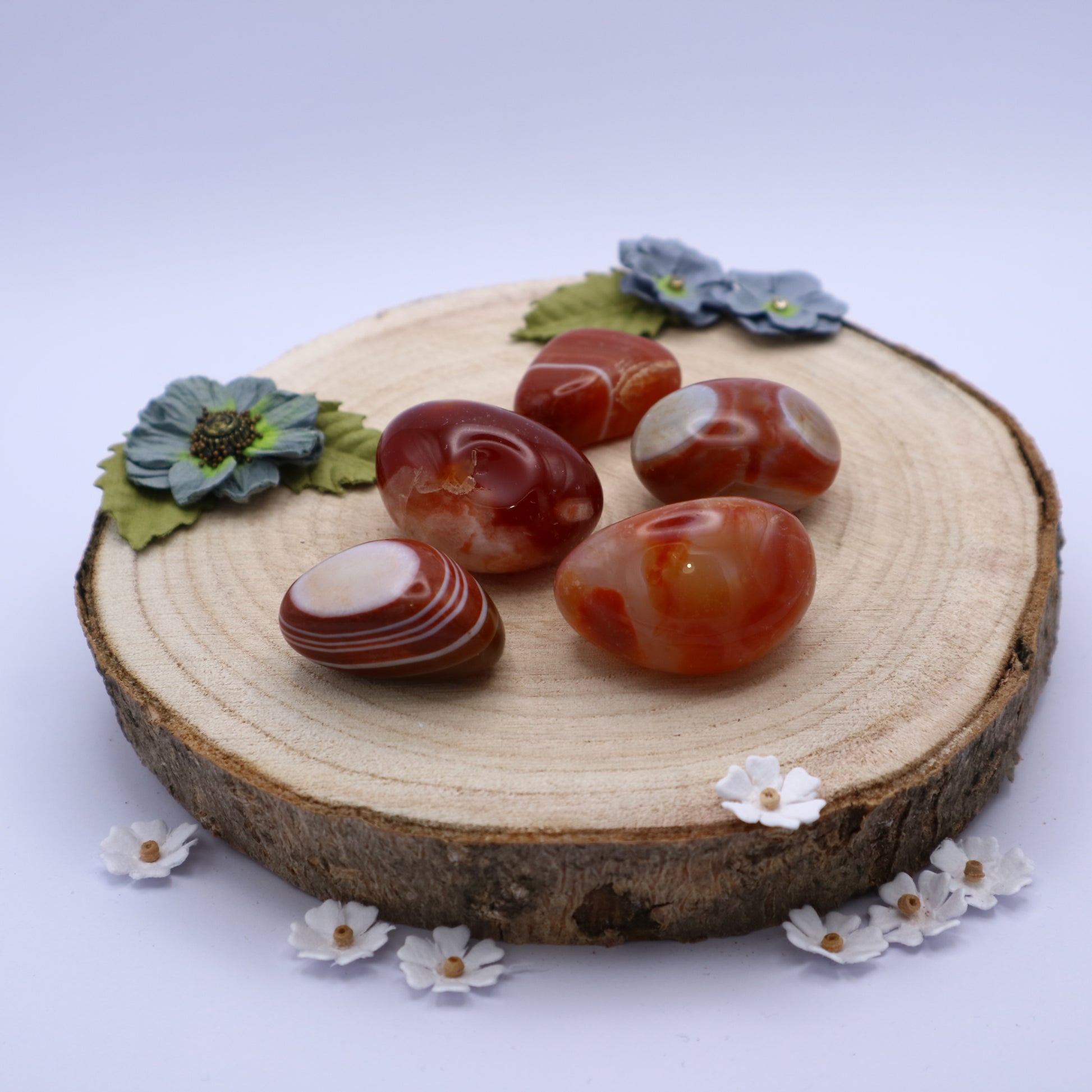Five pieces of Sardonyx crystals displayed on a piece of wood surrounded by flowers