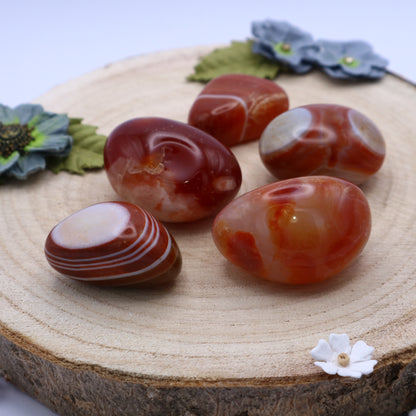 Five pieces of Sardonyx crystals