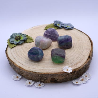 Five pieces of Fluorite crystals displayed on a piece of wood surrounded by flowers