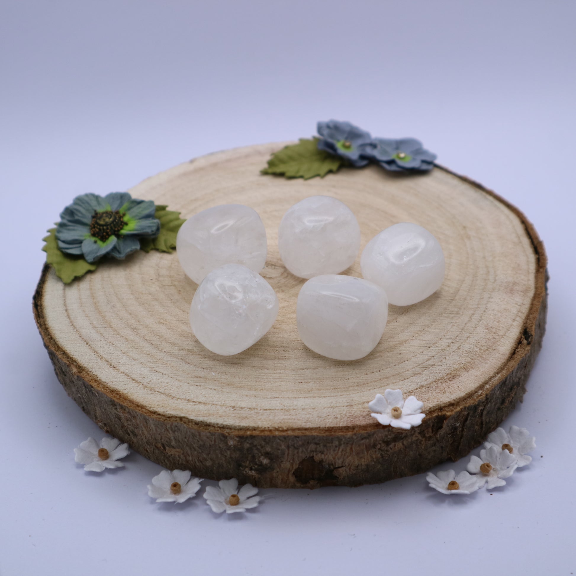 Five pieces of Snow Quartz crystals displayed on a piece of wood surrounded by flowers