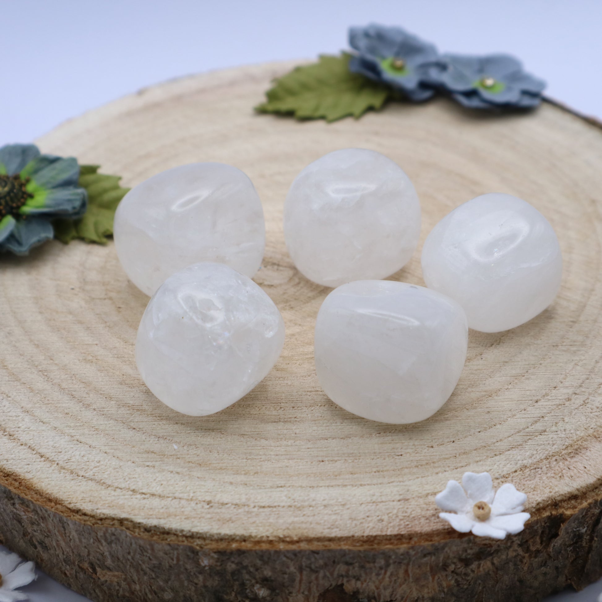 Five pieces of Snow Quartz crystals