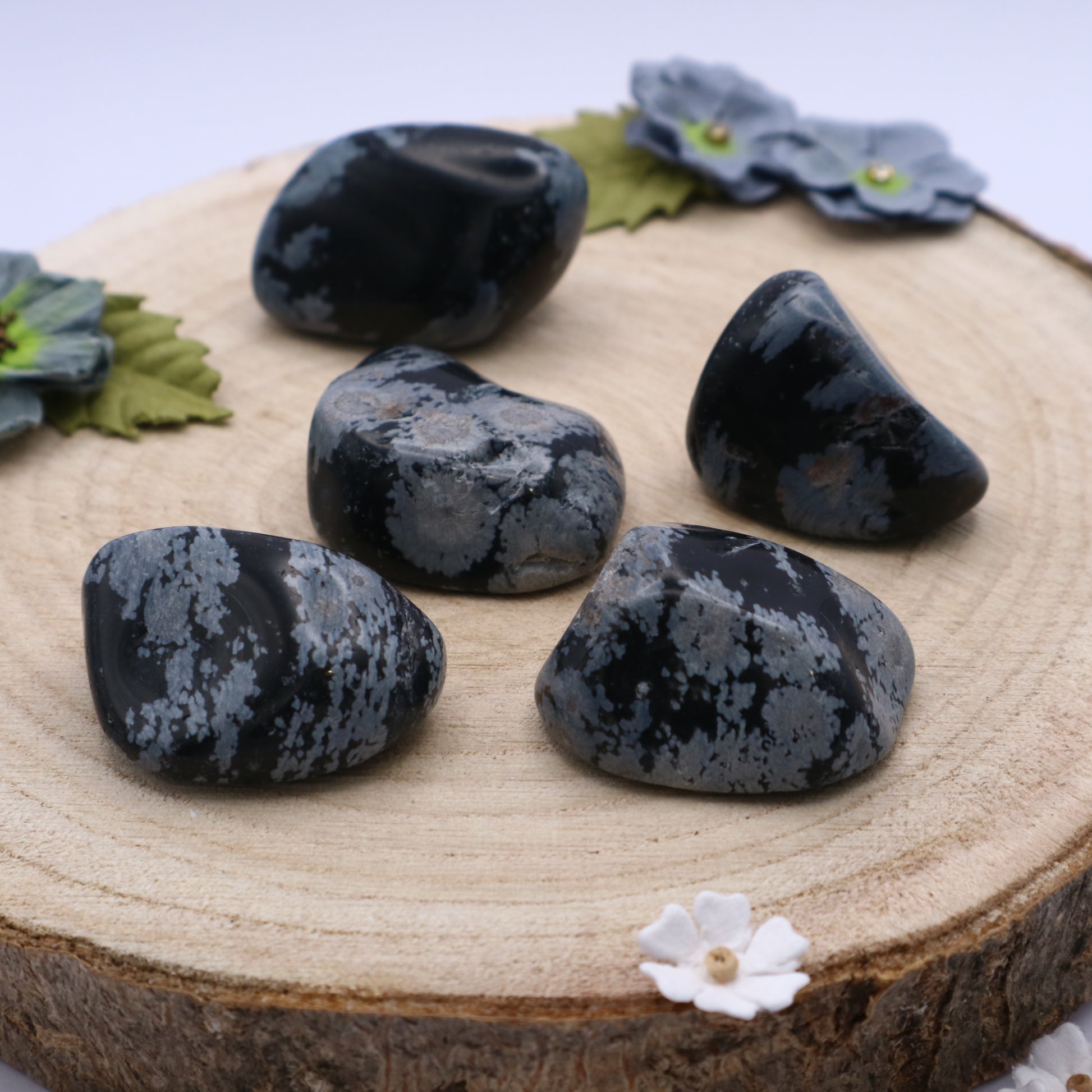 Five pieces of Snowflake Obsidian crystals