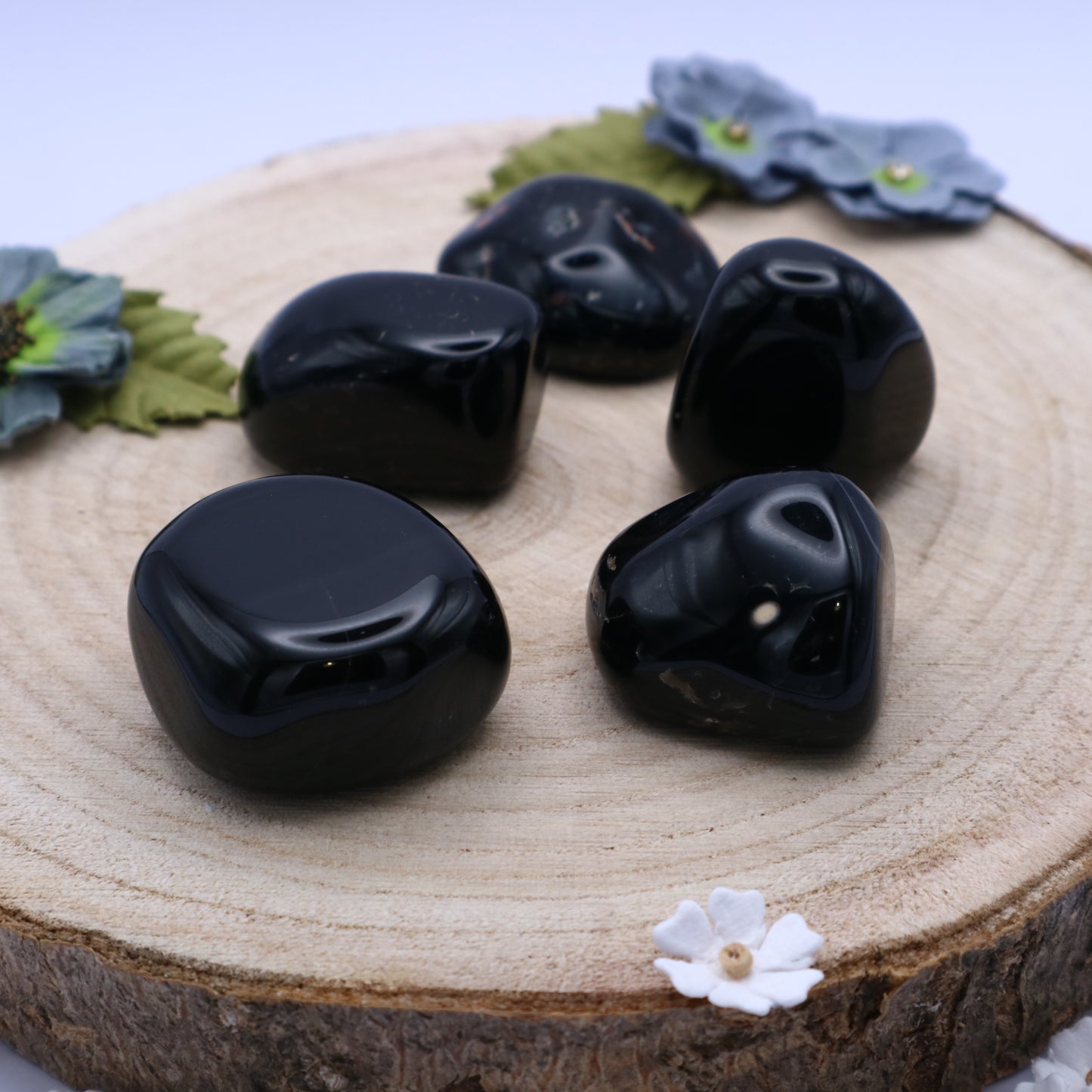 Five pieces of Black Onyx crystals
