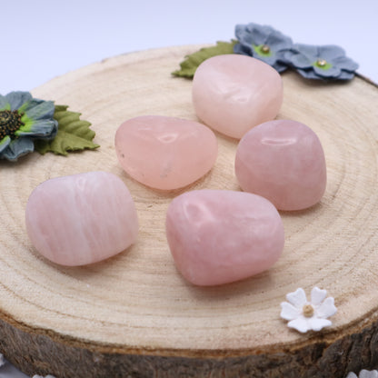 Five pieces of Rose Quartz crystals