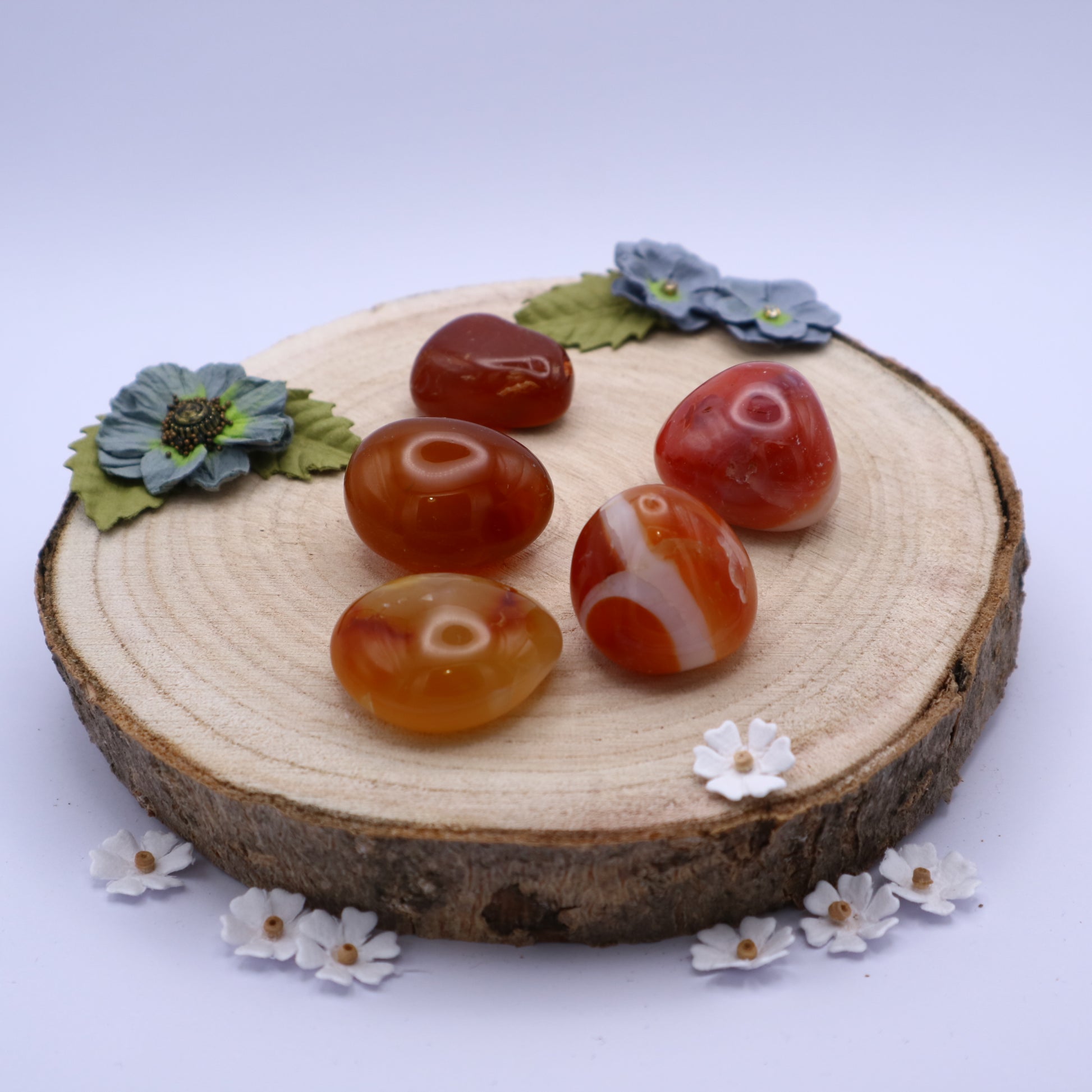 Five pieces of Carnelian crystals displayed on a piece of wood surrounded by flowers
