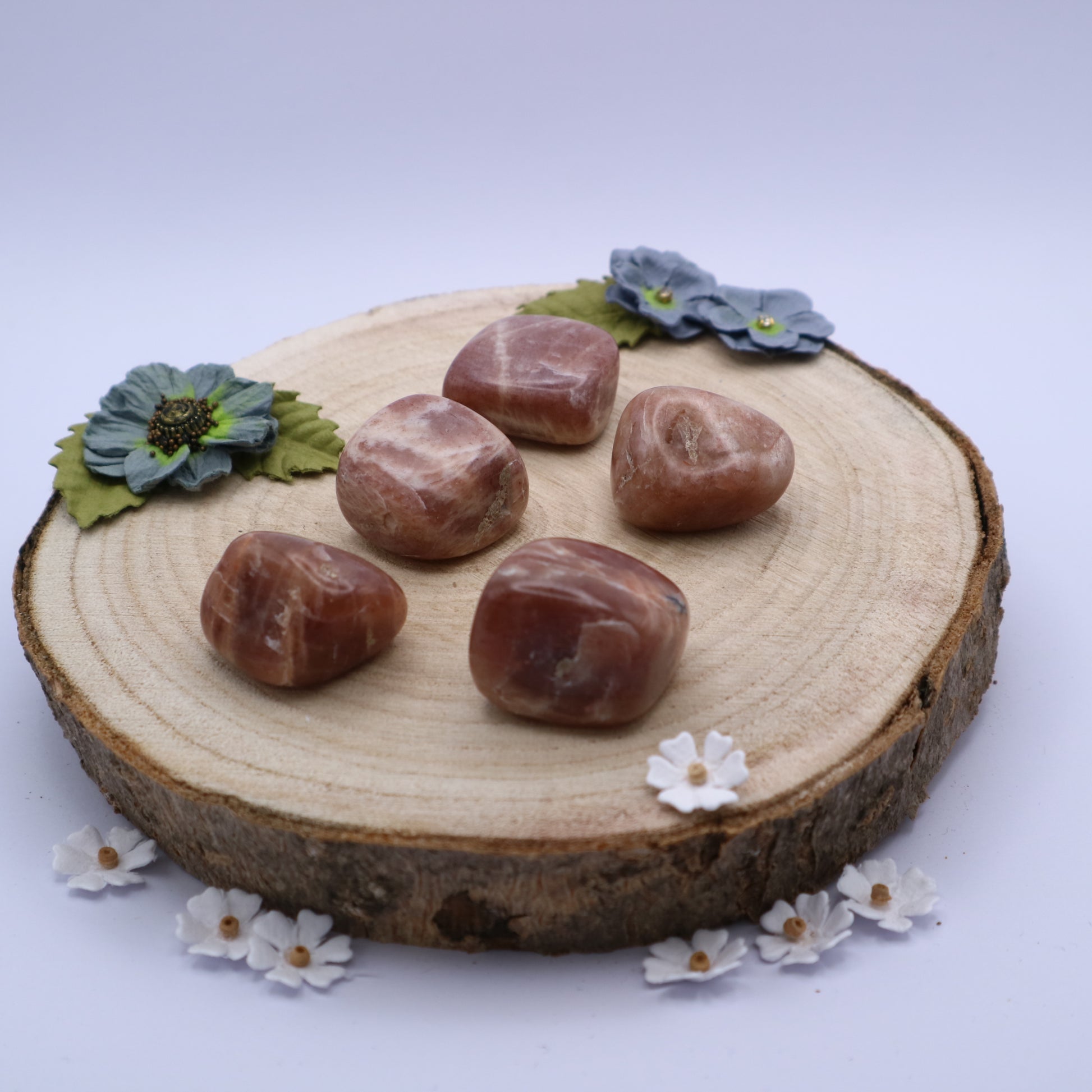 Five pieces of Moonstone crystals displayed on a piece of wood surrounded by flowers