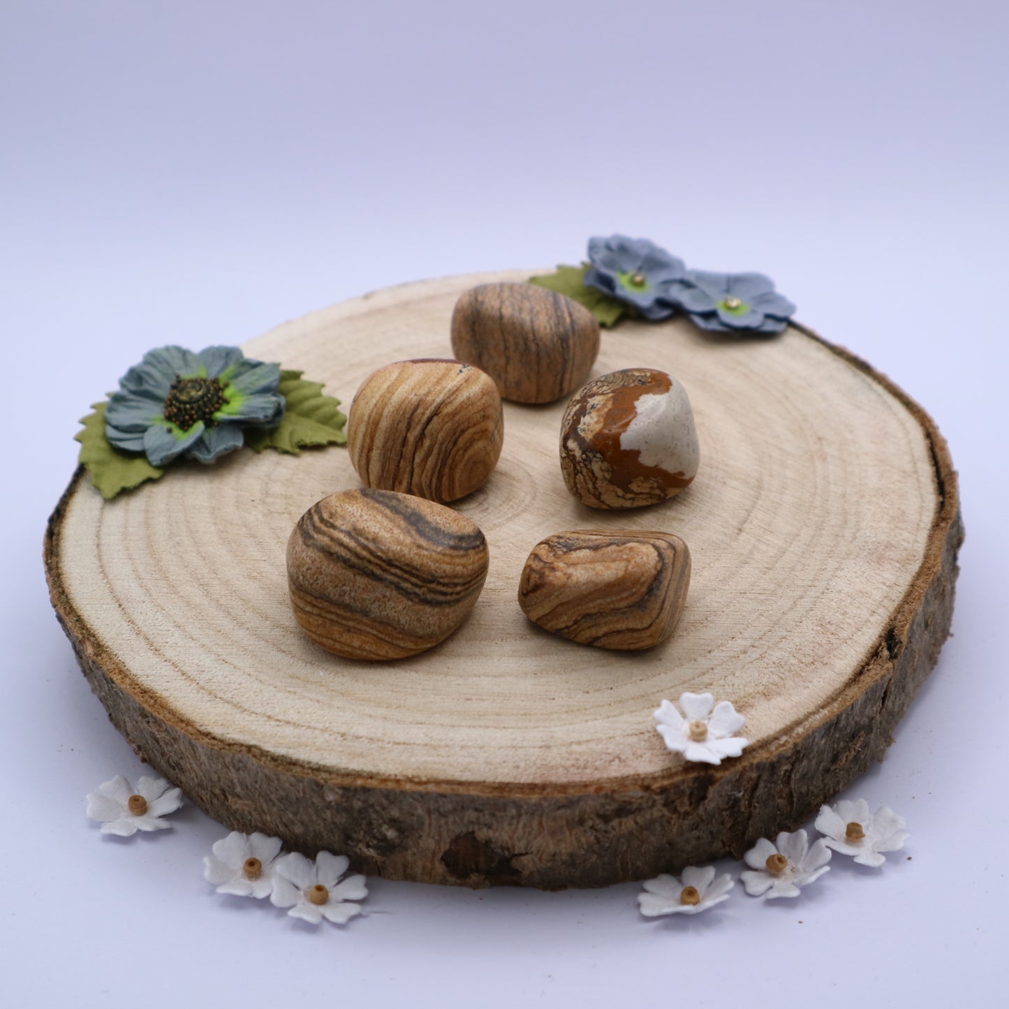 Five pieces of Picture Jasper crystals displayed on a piece of wood surrounded by flowers