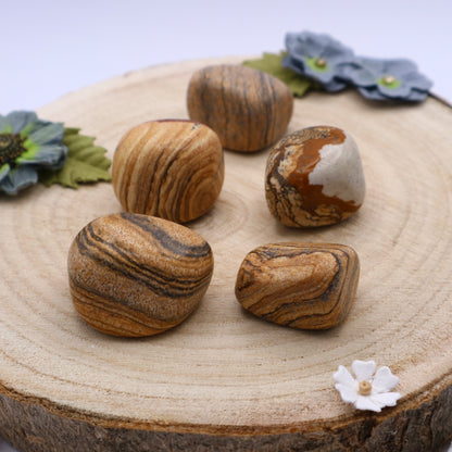 Five pieces of Picture Jasper crystals