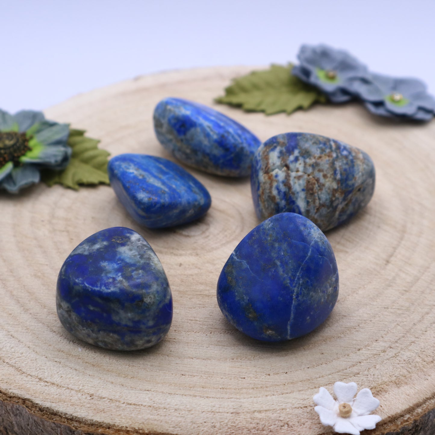 Five pieces of Lapis Lazuli crystals